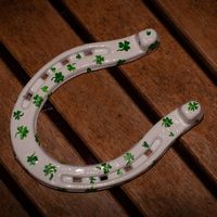whiteshoeandshamrocksfrontview.jpg