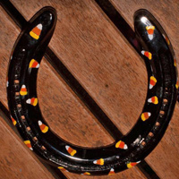 blackcandycornfrontview : horse shoes