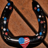 blackflagfireworsfrontview : horse shoes