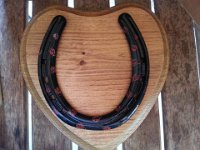 OakwithBlackandLadybugs