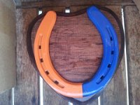 RedOakwithOrangeandBlue