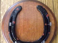 BlackandLadybugscherrycircle