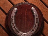 IMG 0420 : horse shoes