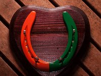 Orangeandgreenandheart : horse shoes