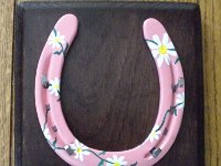 PinkandWhiteDaisiesRedOakSquare