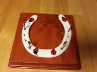 WhitewLadyBugsonCherrySquare