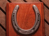 chromeandsquare : horse shoes