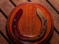 garnetandgoldandcircle : horse shoes