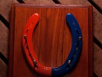 oragneandblueandsquare : horse shoes