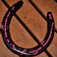 blackandpinkribbonsfrontview : horse shoes