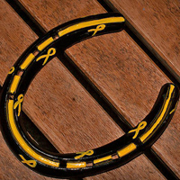 blackandyellowribbonsfrontview : horse shoes