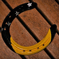 moonandstarsfrontview : horse shoes