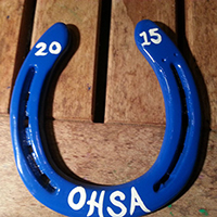 OHSAAwards