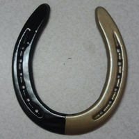 BlackandGoldShoe
