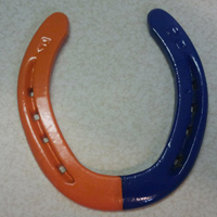 OrangeandBlueShoe