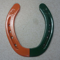 OrangeandGreenShoe