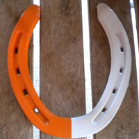 OrangeandWhite