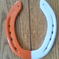 OrangeandWhiteSingle