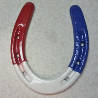 RedWhiteandBlueShoe