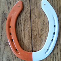 OrangeandWhiteSingle
