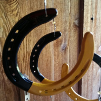 BlackandYellowWCClose