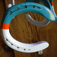 DolphinAWCCloseUp
