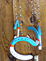 DolphinAWCfull