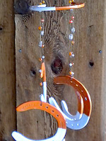 OrangeandWhiteFull