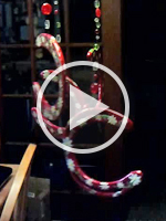 SoundoftheRedShoesandWhiteDaisies