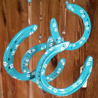 TurquoisewithWhitePawPrintsDCClose