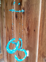 TurquoisewithWhitePawPrintsDCFull2